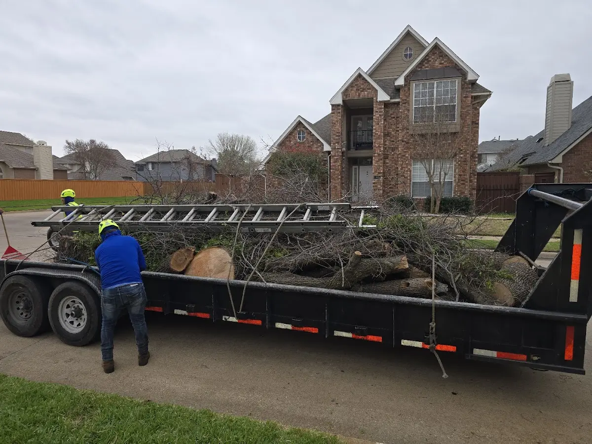 Expert Lot Clearing with proper safety equipment in Alden